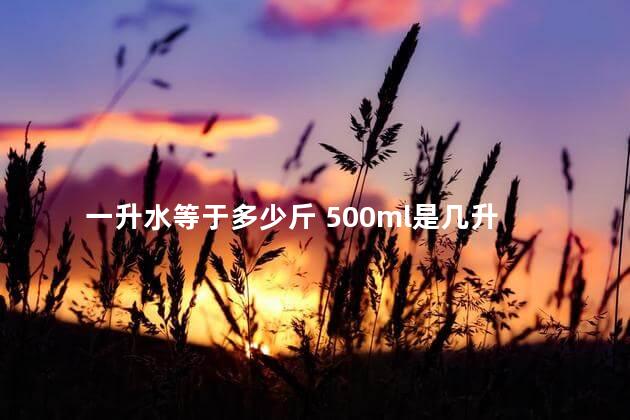 一升水等于多少斤 500ml是几升